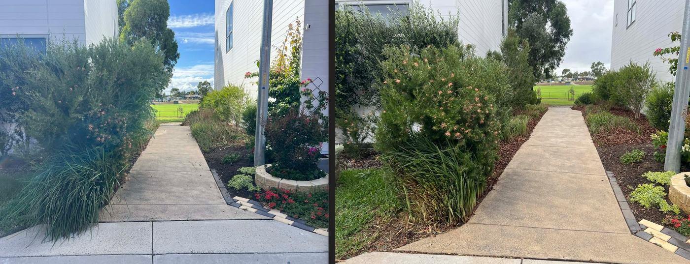 Before and after: Garden path & borders | EcoScape Gardens