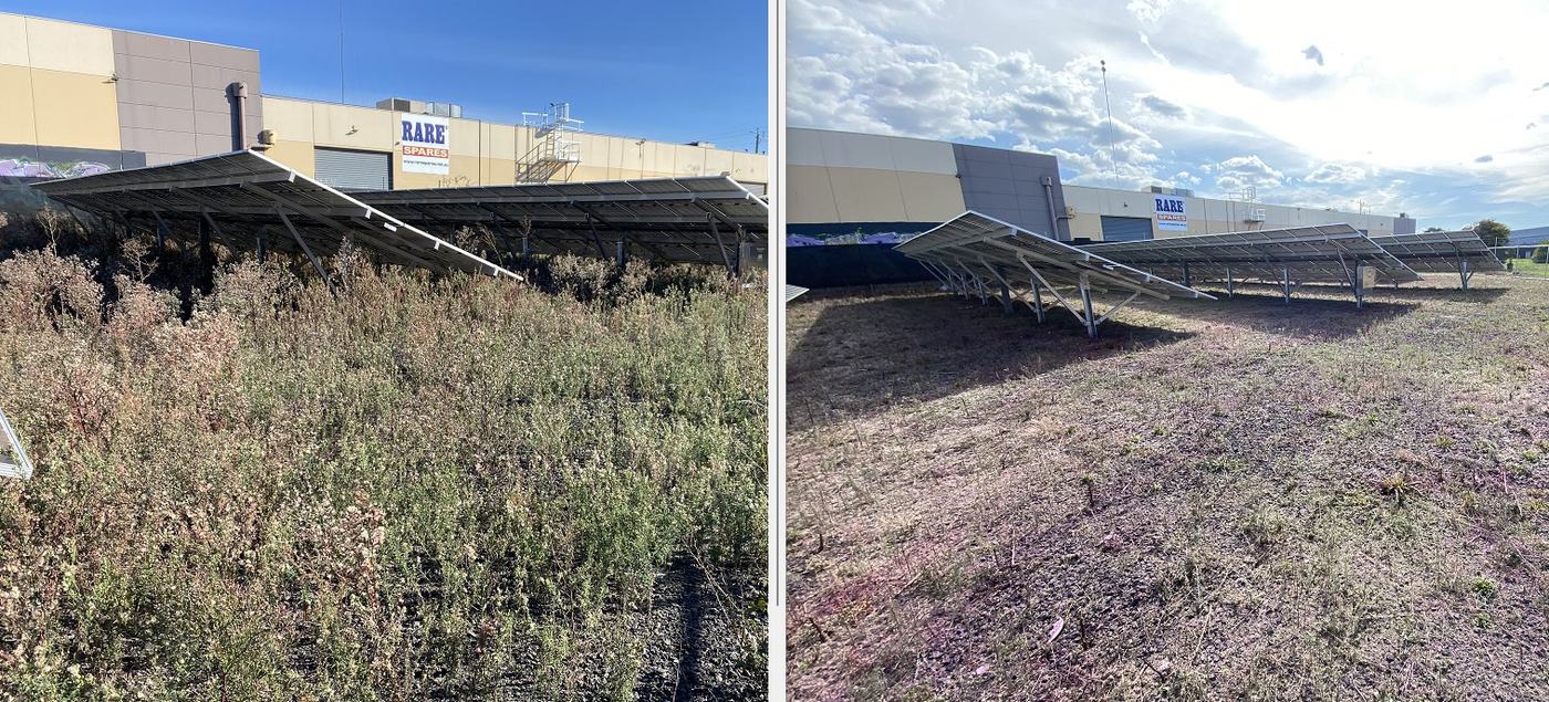 Before and after: Industrial site weed control | EcoScape Gardens