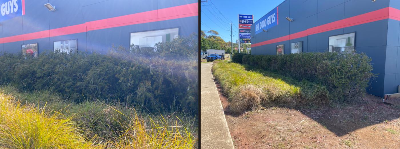 Before and after: Retail frontage garden beds | EcoScape Gardens