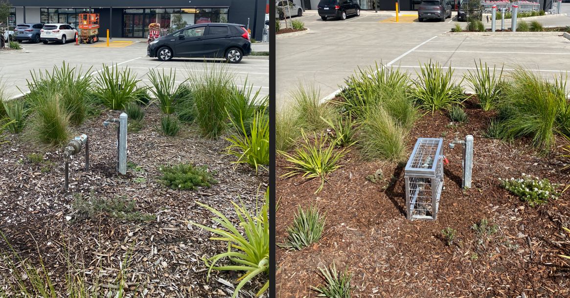 Before and after: Garden bed meter — Retail car park | EcoScape Gardens