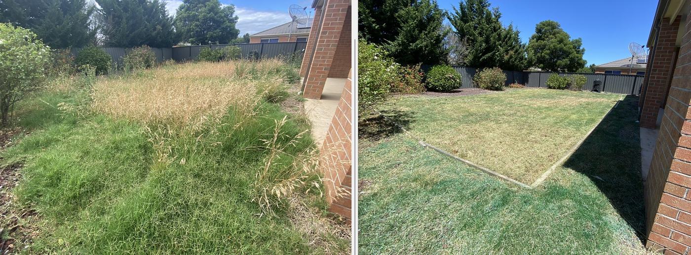 Before and after: Overgrown backyard | EcoScape Gardens