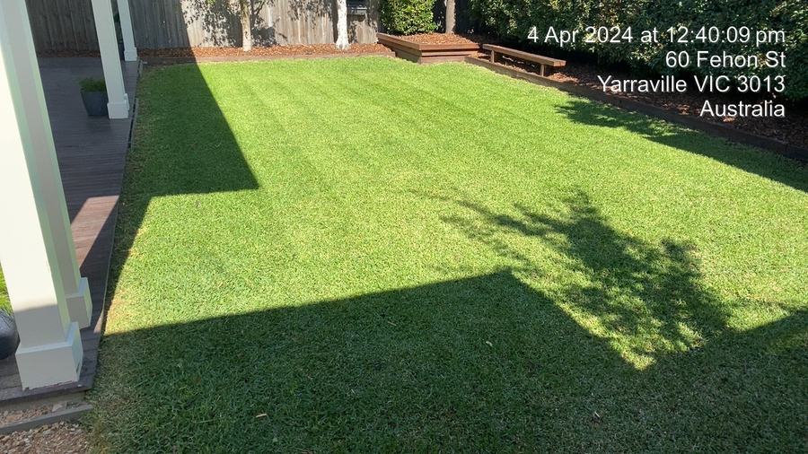 Lawn care — Yarraville | EcoScape Gardens
