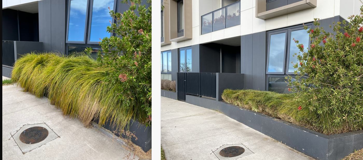 Apartment frontage planter — Grasses cut back, beds cleaned | EcoScape Gardens