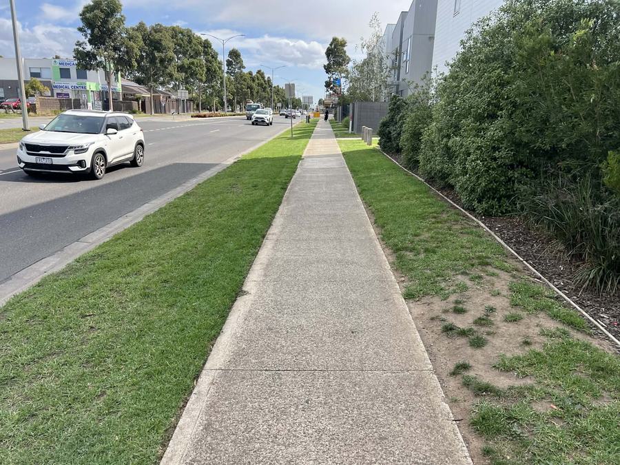 Main-road frontage — Verge, path edge & garden bed | EcoScape Gardens