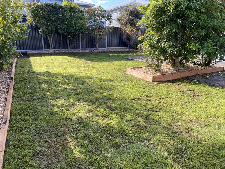 Finished turf & timber edging — Courtyard makeover | EcoScape Gardens