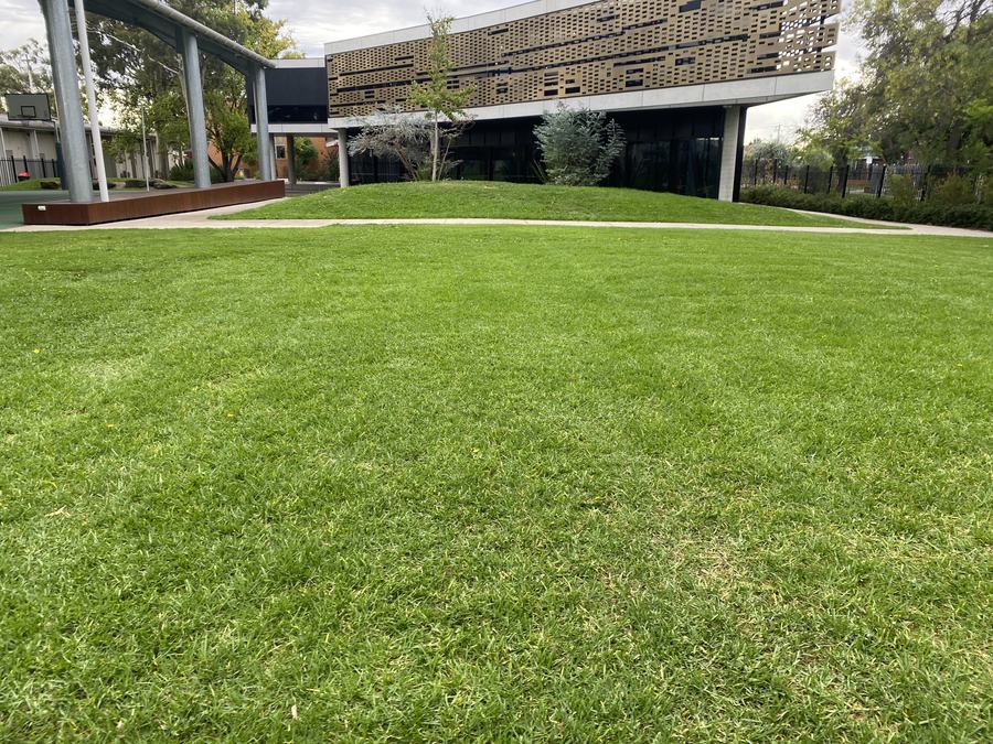 Office & warehouse lawn — Scheduled maintenance program | EcoScape Gardens