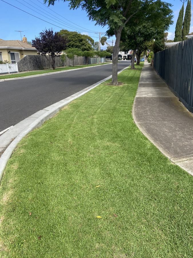 Street frontage verge — Mowed & edged | EcoScape Gardens