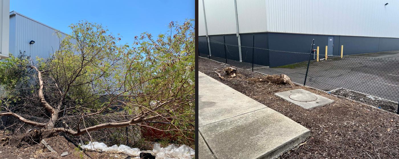 Full removal & clean-up — Industrial site | EcoScape Gardens