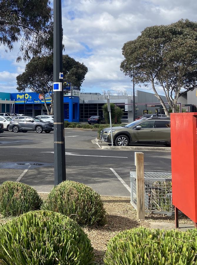 Retail precinct hedging — Shaped & maintained on schedule | EcoScape Gardens